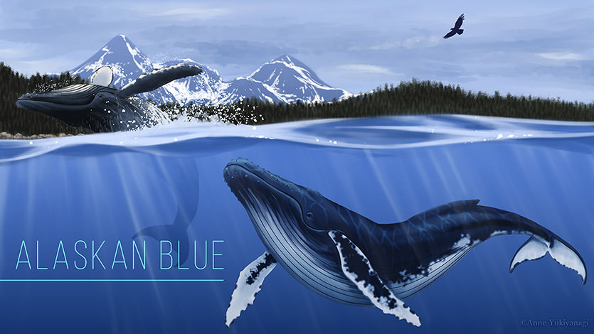 Alaskan Blue